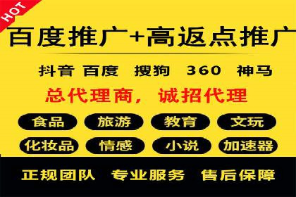 某电商平台信息流广告的精准推广策略